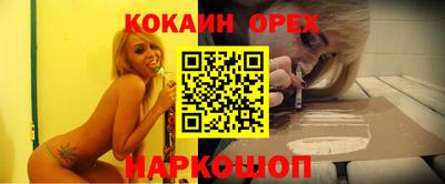гидра Гусев